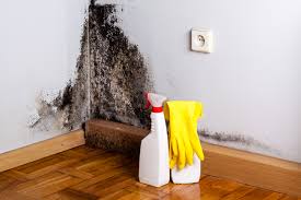 Best Industrial Mold Remediation  in Northwood, IA